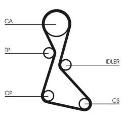Fogasszíj - CONTINENTAL CTAM (CT553)