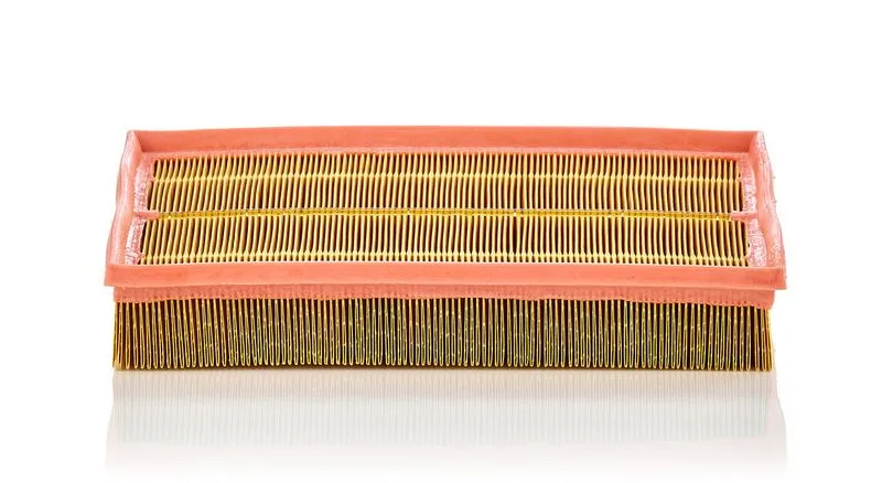 Légszűrő - MANN-FILTER (C33189)