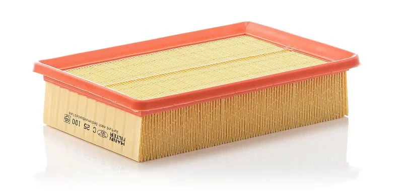 Légszűrő - MANN-FILTER (C25100)