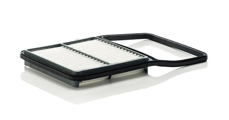 Légszűrő - MANN-FILTER (C29002)