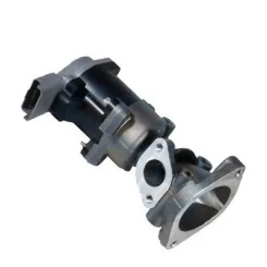 Agr-Szelep - MAGNETI MARELLI (EV034)