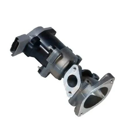 Agr-Szelep - MAGNETI MARELLI (EV034)
