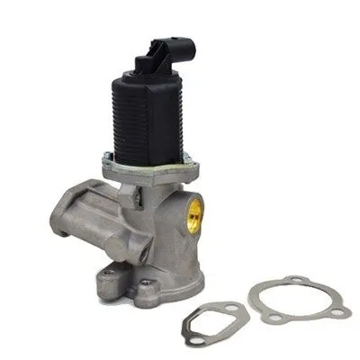 Agr-Szelep - MAGNETI MARELLI (EV003)