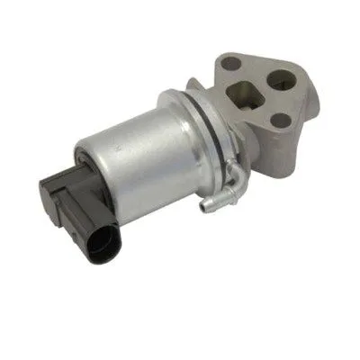 Agr-Szelep - MAGNETI MARELLI (EV020)