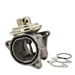 Agr-Szelep - MAGNETI MARELLI (EV045)