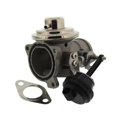Agr-Szelep - MAGNETI MARELLI (EV046)