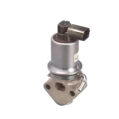 Agr-Szelep - MAGNETI MARELLI (EV013)