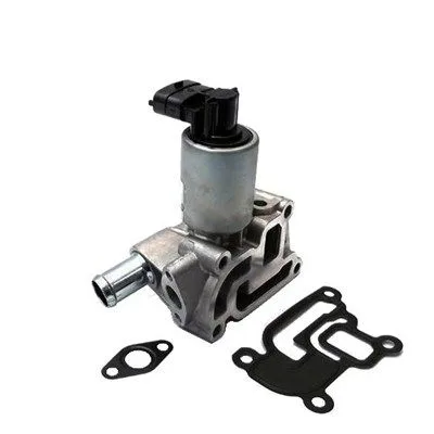 Agr-Szelep - MAGNETI MARELLI (EV017)