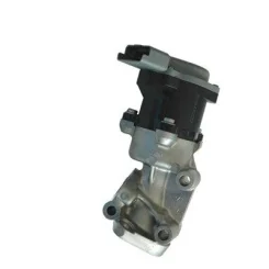 Agr-Szelep - MAGNETI MARELLI (EV035)