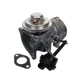 Agr-Szelep - MAGNETI MARELLI (EV051)