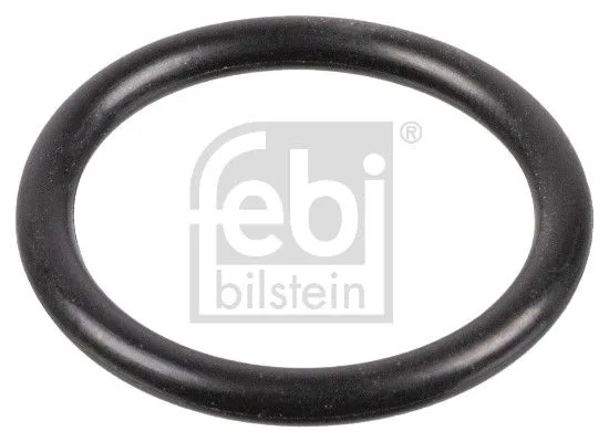 Uszczelka Przewodu Vw 20.3X2.4 - FEBI BILSTEIN (FE172220)