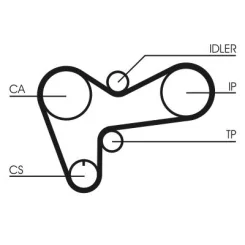 Fogasszíj - CONTINENTAL CTAM (CT508)