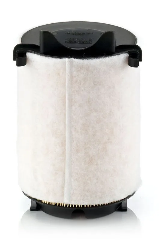 Légszűrő - MANN-FILTER (C14130/1)