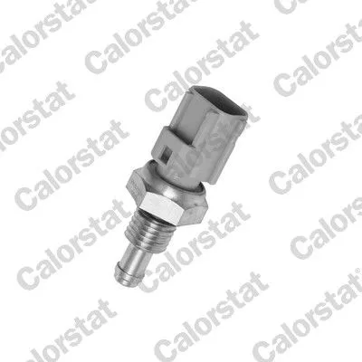 Érzékelő, Hűtőfolydék Hőmérséklet - CALORSTAT by Vernet (WS2596)