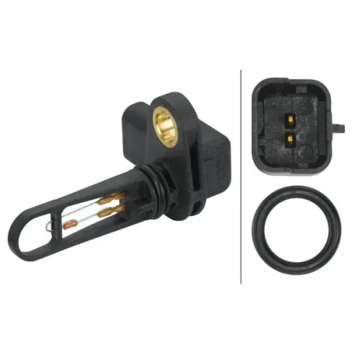 Érzékelő, Beszívott Levegő Hőmérséklet - HELLA (6PT009109-321)