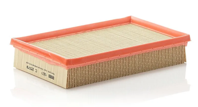 Légszűrő - MANN-FILTER (C2579)