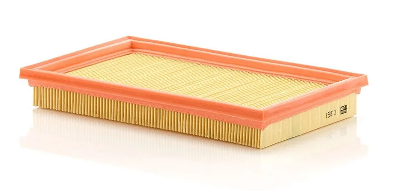 Légszűrő - MANN-FILTER (C2851)