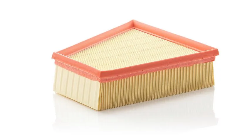 Légszűrő - MANN-FILTER (C2295/2)