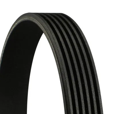 Hosszbordás Szíj - CONTINENTAL CTAM (6PK1210)