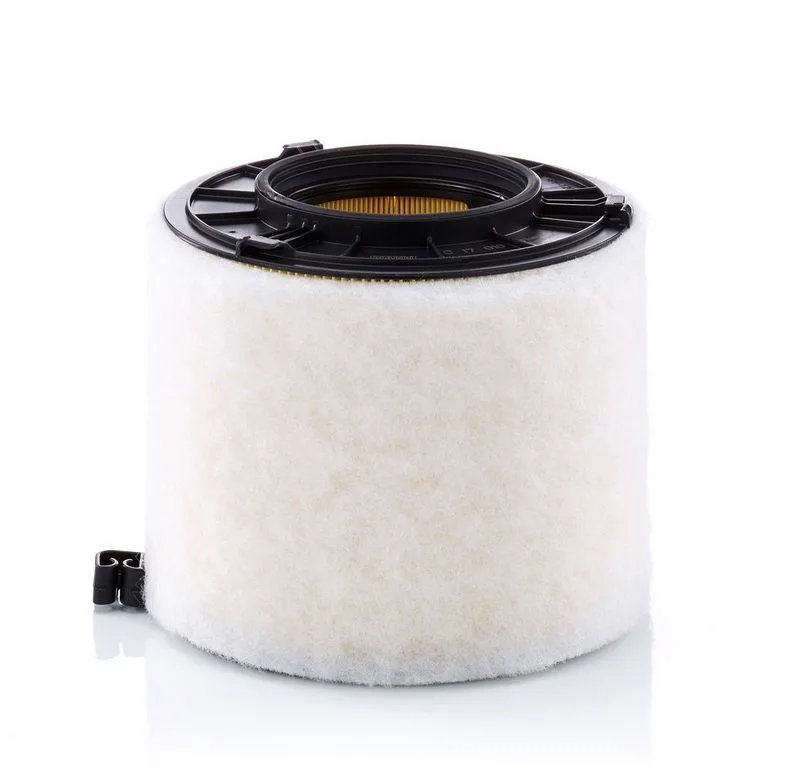Légszűrő - MANN-FILTER (C17010)