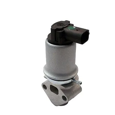 Agr-Szelep - MAGNETI MARELLI (EV018)