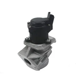 Agr-Szelep - MAGNETI MARELLI (EV029)