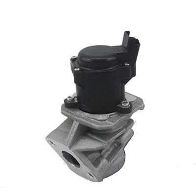 Agr-Szelep - MAGNETI MARELLI (EV029)
