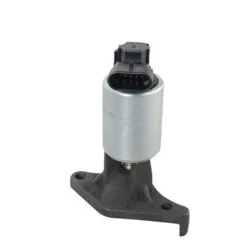 Agr-Szelep - MAGNETI MARELLI (EV019)