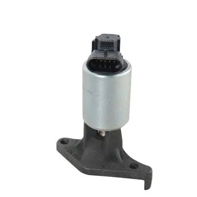 Agr-Szelep - MAGNETI MARELLI (EV019)