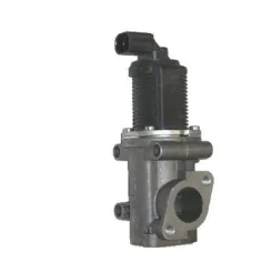Agr-Szelep - MAGNETI MARELLI (EV004)