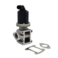 Agr-Szelep - MAGNETI MARELLI (EV005)