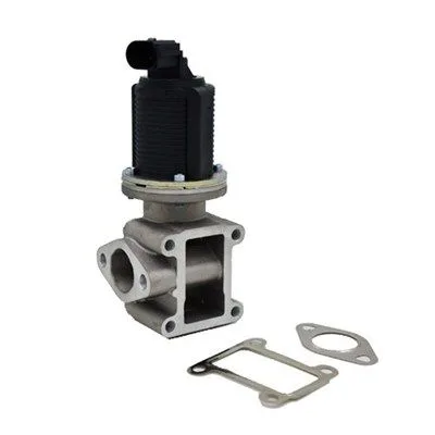 Agr-Szelep - MAGNETI MARELLI (EV005)