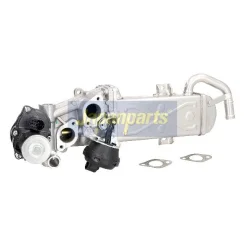 Agr-Szelep - JAPANPARTS (EGR-0907)