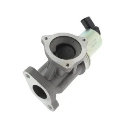 Agr-Szelep - MAGNETI MARELLI (EV012)