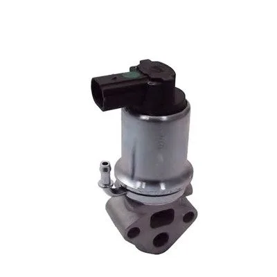 Agr-Szelep - MAGNETI MARELLI (EV014)