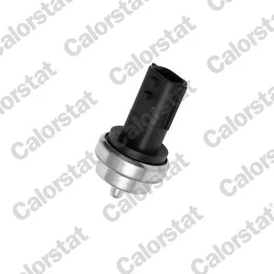 Érzékelő, Hűtőfolydék Hőmérséklet - CALORSTAT by Vernet (WS3019)
