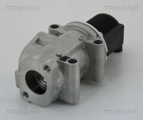 Agr-Szelep - TRISCAN (881315032)
