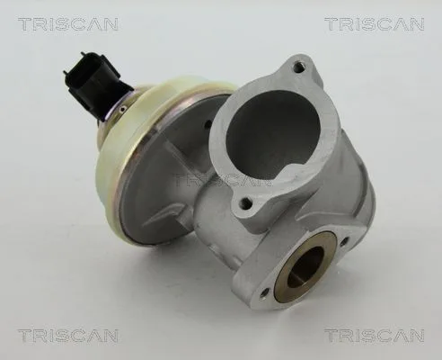 Agr-Szelep - TRISCAN (881316102)