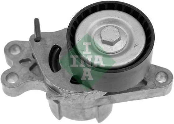 Feszítőkar, Hosszbordás Szíj - Schaeffler INA (534017910)