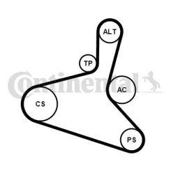 Hosszbordás Szíj Készlet - CONTINENTAL CTAM (6DPK1195K2)