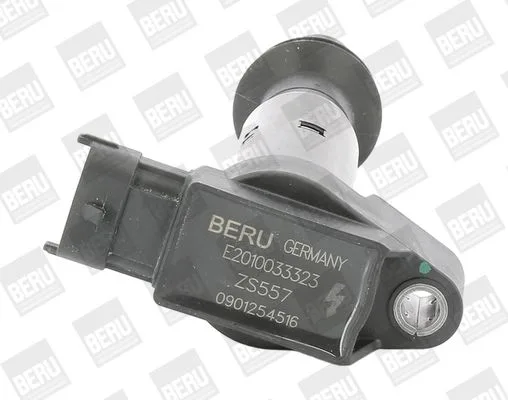Gyújtótekercs - BorgWarner (BERU) (BERZS557)