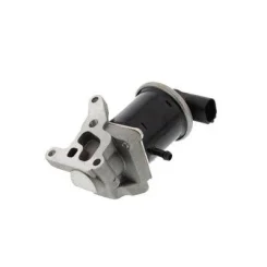 Agr-Szelep - MAGNETI MARELLI (EV068)