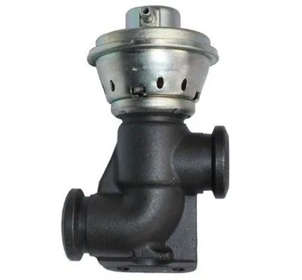 Agr-Szelep - MAGNETI MARELLI (EV103)