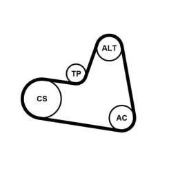 Hosszbordás Szíj Készlet - CONTINENTAL CTAM (6PK962K1)