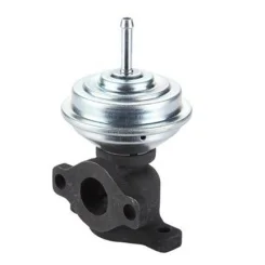 Agr-Szelep - MAGNETI MARELLI (EV075)