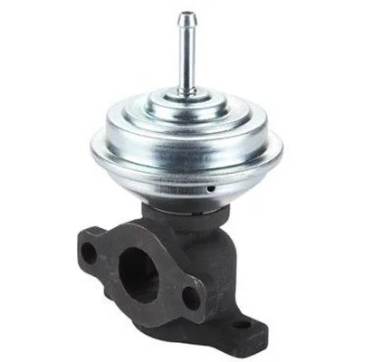 Agr-Szelep - MAGNETI MARELLI (EV075)