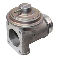 Agr-Szelep - MAGNETI MARELLI (EV091)