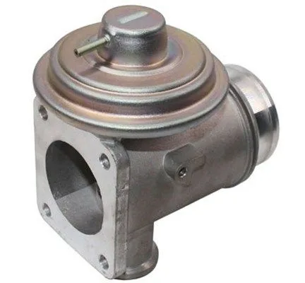 Agr-Szelep - MAGNETI MARELLI (EV091)