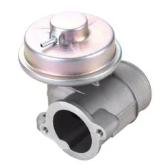 Agr-Szelep - MAGNETI MARELLI (EV111)