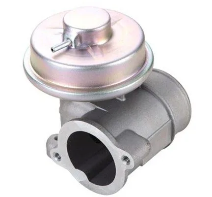 Agr-Szelep - MAGNETI MARELLI (EV111)
